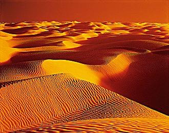 过去十年《刺客信条》系列为育碧创造了40亿美元收入