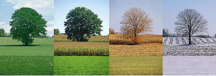 《符文工房》开发商宣布5月31日举行游戏发布会 公布旗下主机游戏新情报